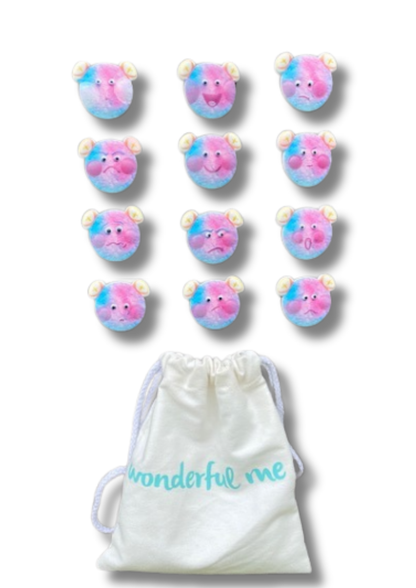 Kids Emotion Magnets Set – Social Emotional Learning