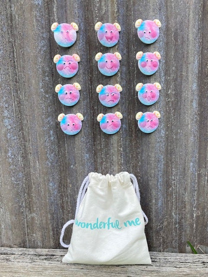 The Hug Emotion Magnets features 12 different emotions. Created to help children further develop their emotional health and to be able to articulate what they are feeling. Suitable for children from two years old through to pre-teen years. 